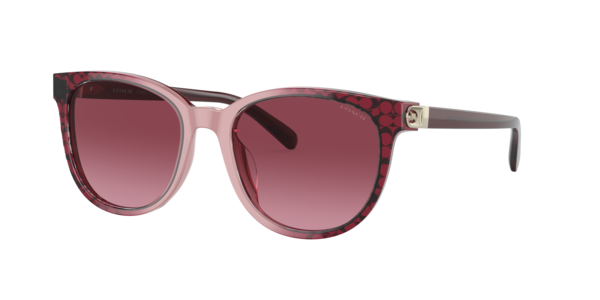 Shop Womens Sunglasses Coach at Glasses.com | Glasses.com® display picture 1