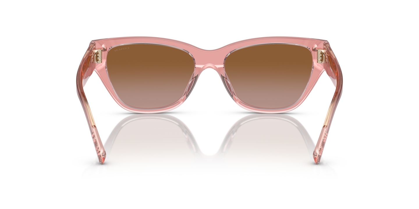 Sunglasses Coach HC8370U CH570 | Free Shipping | Glasses.com® display picture 2