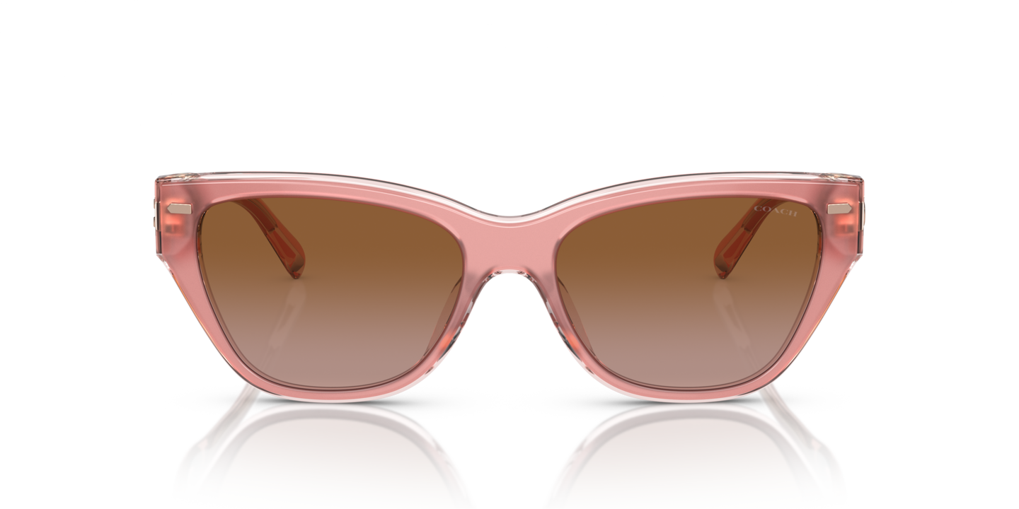 Sunglasses Coach HC8370U CH570 | Free Shipping | Glasses.com®