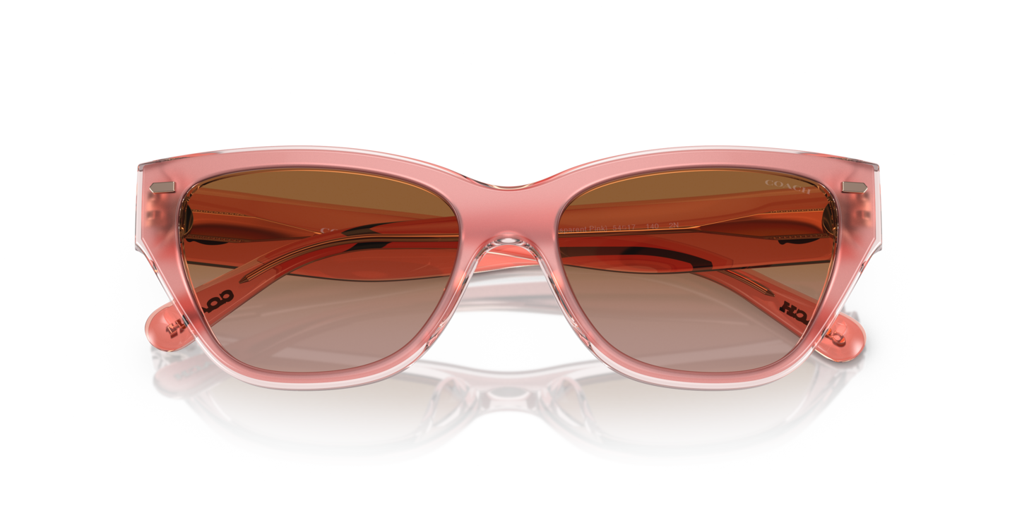 Sunglasses Coach HC8370U CH570 | Free Shipping | Glasses.com® display picture 2
