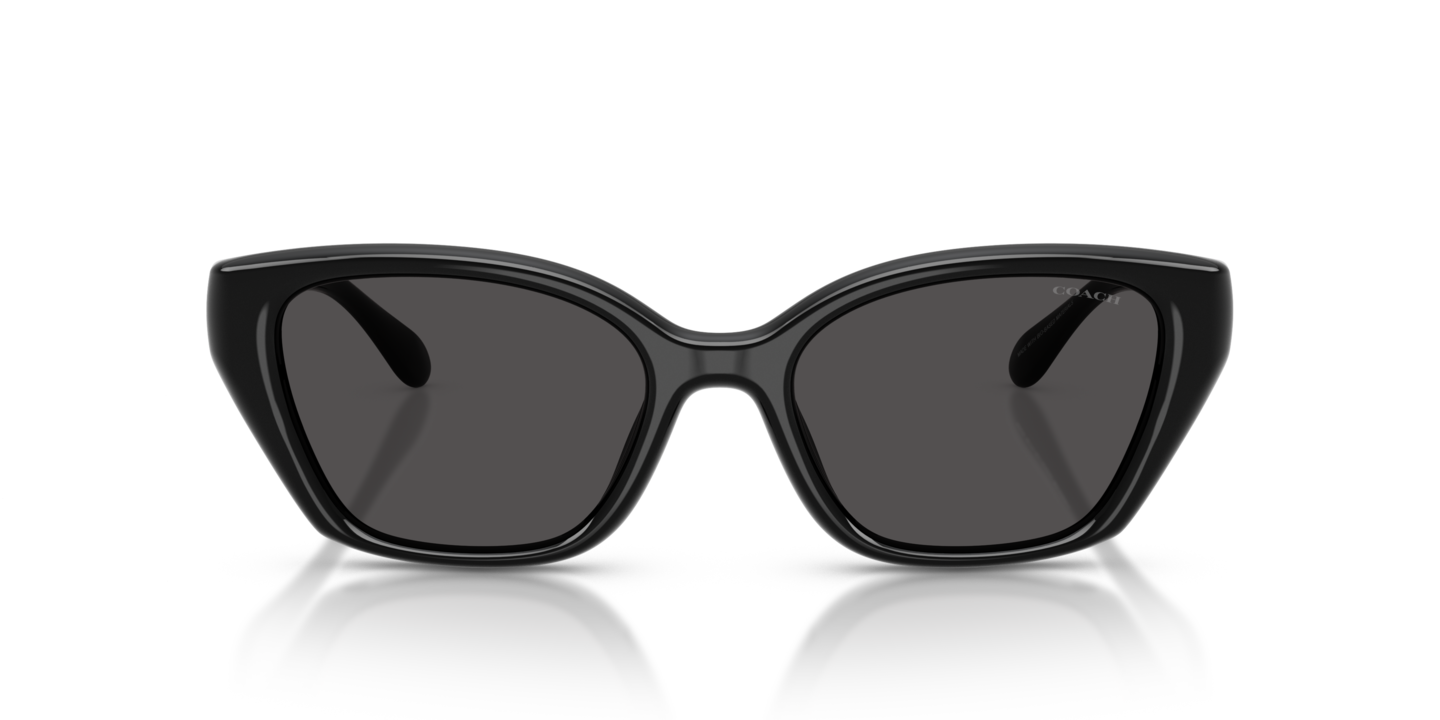 Coach women’s sunglasses x3 Coach HC8315 C3445 sunglasses for women in Gradient  main image 3