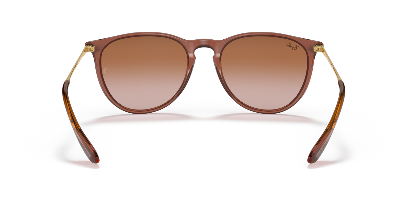 Sunglasses Ray-Ban RB4171 Erika Classic | Free Shipping | Glasses.com®