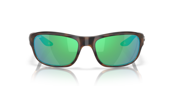 6S9119 Clipperton Costa Tortoise