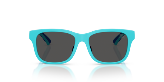 JB4007U Burberry Matte Light Blue