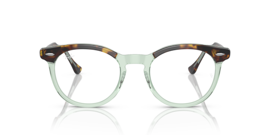 Eyeglasses Ray-Ban RB5598 Eagle Eye Optics | Free Shipping