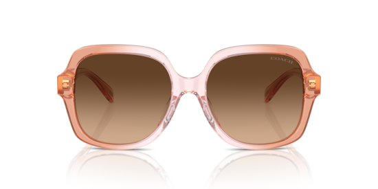 HC8395U CR614 Coach Saddle/Dusty Rose Gradient