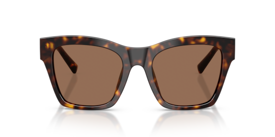 DG4512 Dolce & Gabbana Havana