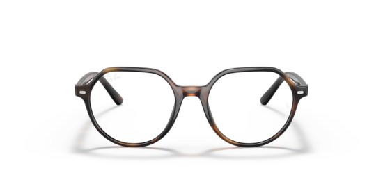 RB9095V Thalia Optics Kids Ray-Ban Havana