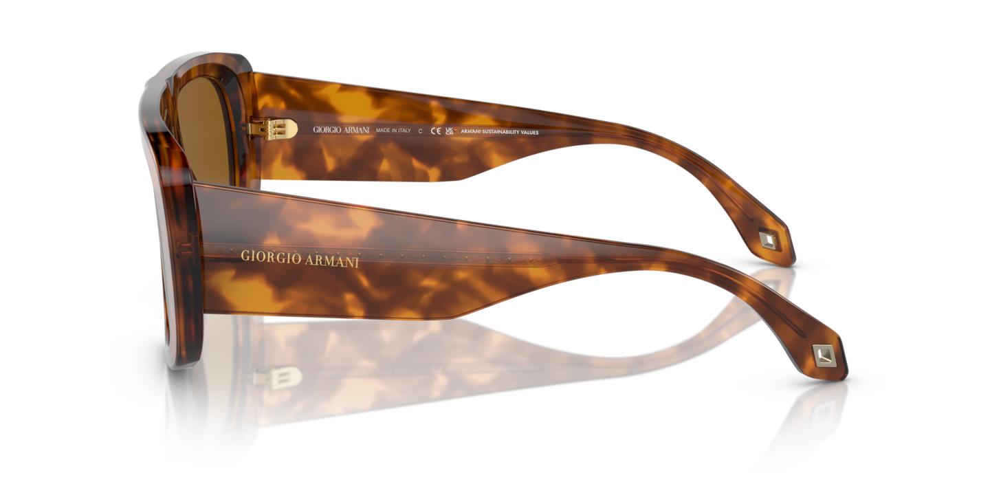 Sunglasses Giorgio Armani AR8183 | Free Shipping | Glasses.com®