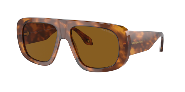 Sunglasses Giorgio Armani AR8183 | Free Shipping | Glasses.com®