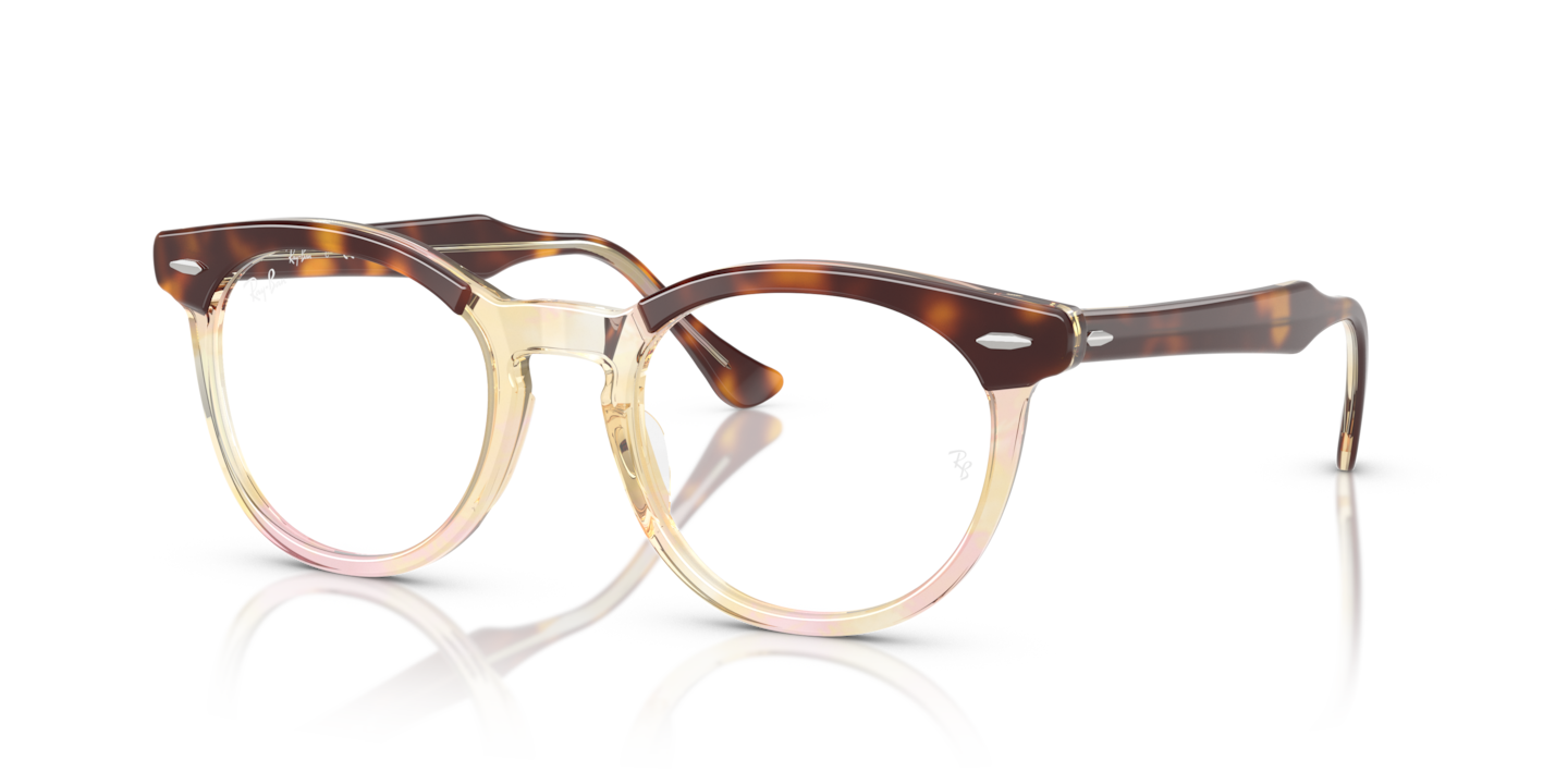 Ray-Ban RB5598 Eagle Eye Optics Light Havana On Multicolor