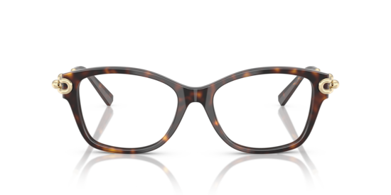 TF2266 Tiffany Havana