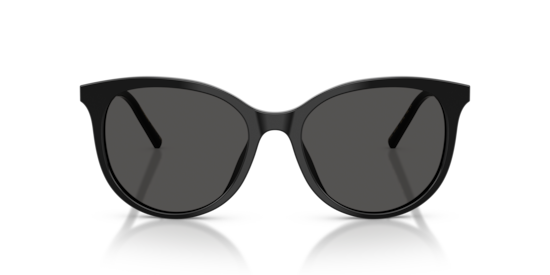 DG4540 Dolce & Gabbana Black