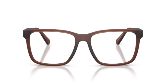 HC6278U Coach Matte Transparent Brown