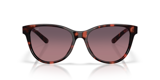 6S2012 Catherine Costa Sunset Tortoise