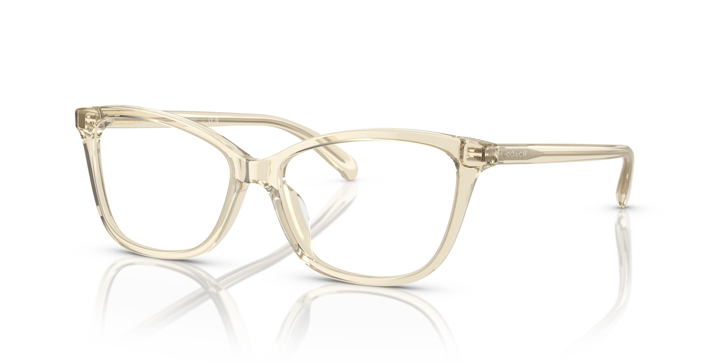 Coach HC6206U Transparent Fawn