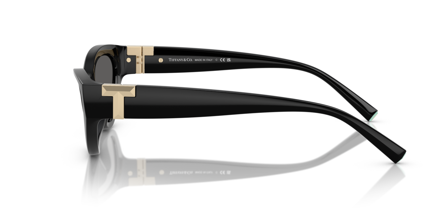 Sunglasses Tiffany TF4225U | Free Shipping | Glasses.com®