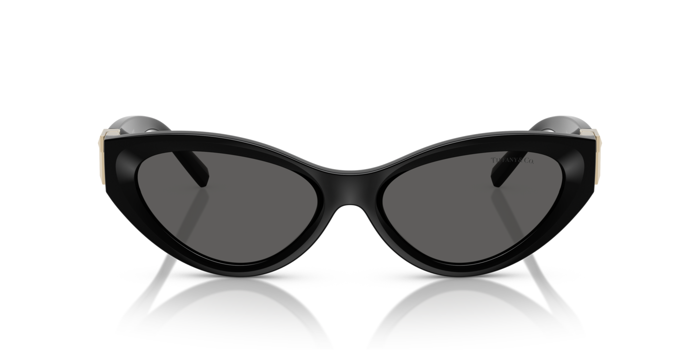 Tiffany Black Sunglasses with Signature Case Sunglasses Tiffany TF4197 | Free Shipping | Glasses.com® main image 4
