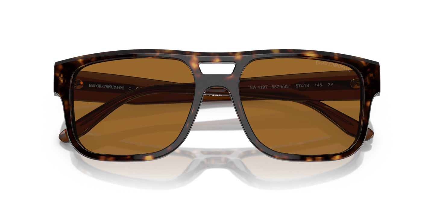 Sunglasses Emporio Armani EA4197 | Free Shipping | Glasses.com®