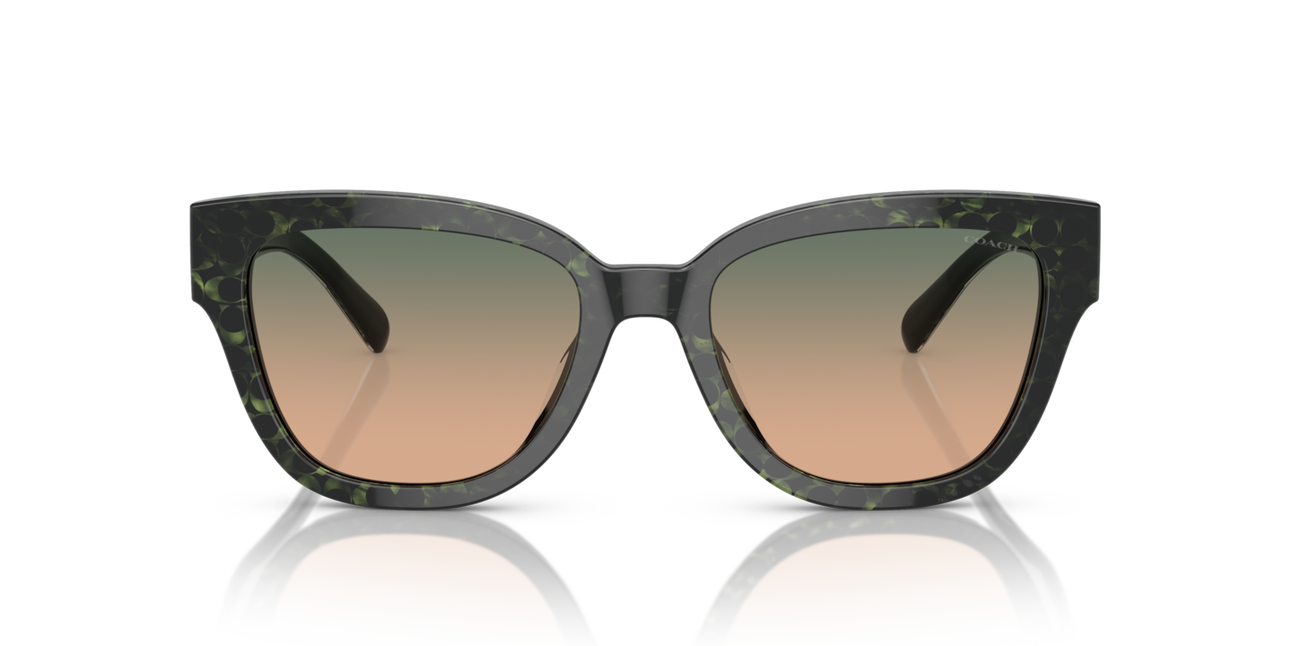 Sunglasses Coach HC8379U CL920 | Free Shipping | Glasses.com®