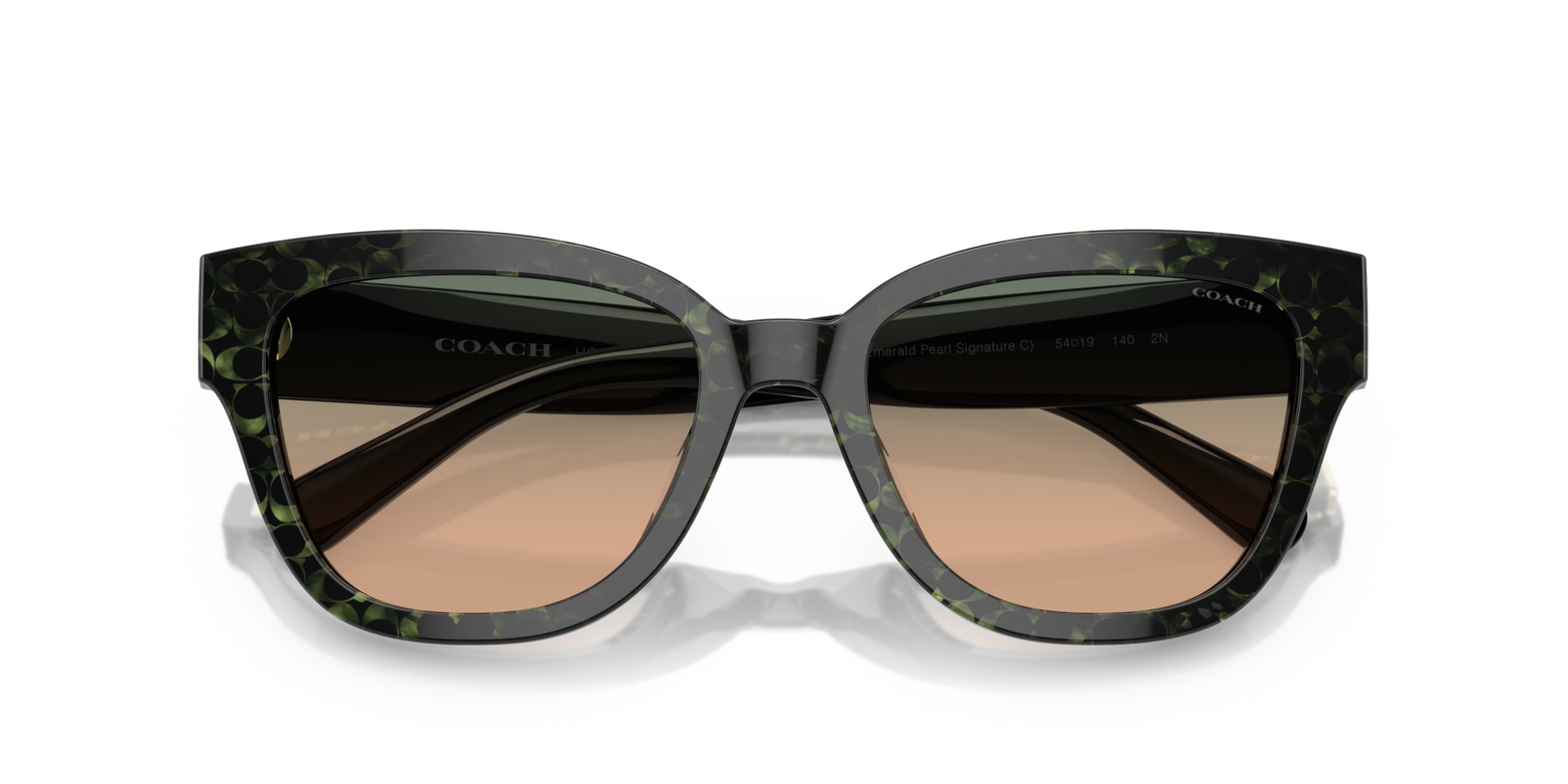Sunglasses Coach HC8379U CL920 | Free Shipping | Glasses.com® display picture 3