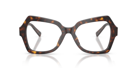 DG3429 Dolce & Gabbana Havana