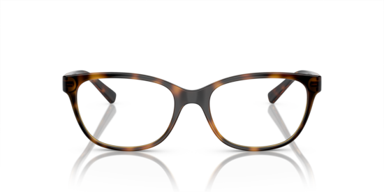 AX3037 Armani Exchange Shiny Havana