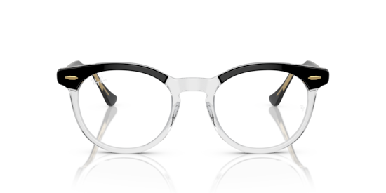 RB5598 Eagle Eye Optics Ray-Ban Black On Transparent