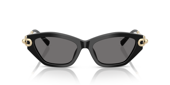 TF4231U Tiffany Black