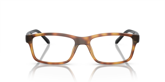 AN7237U A-Volution Arnette Shiny Dark Havana