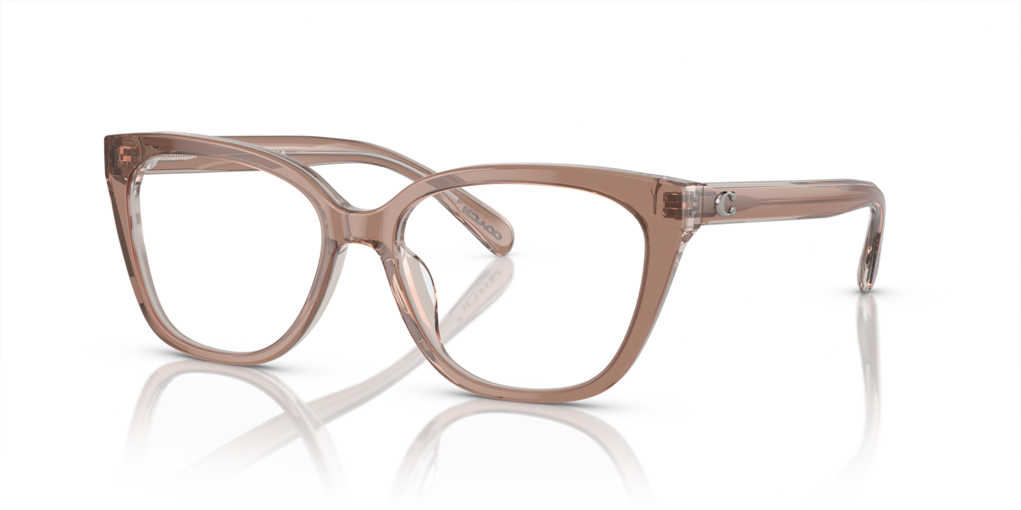 Coach HC6226U Transparent Brown/Grey