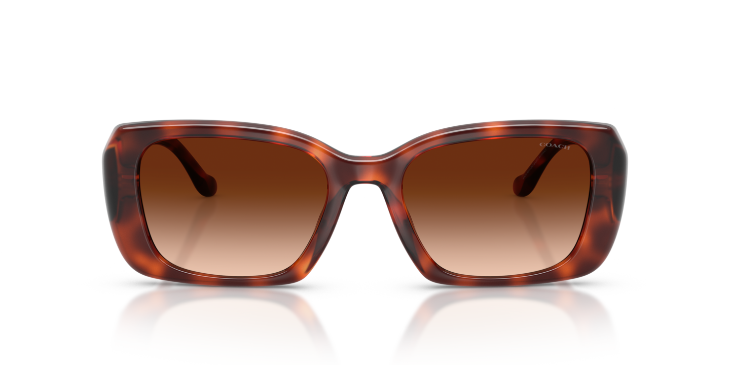 Sunglasses Coach HC8435U CBY82 | Free Shipping | Glasses.com® display picture 3