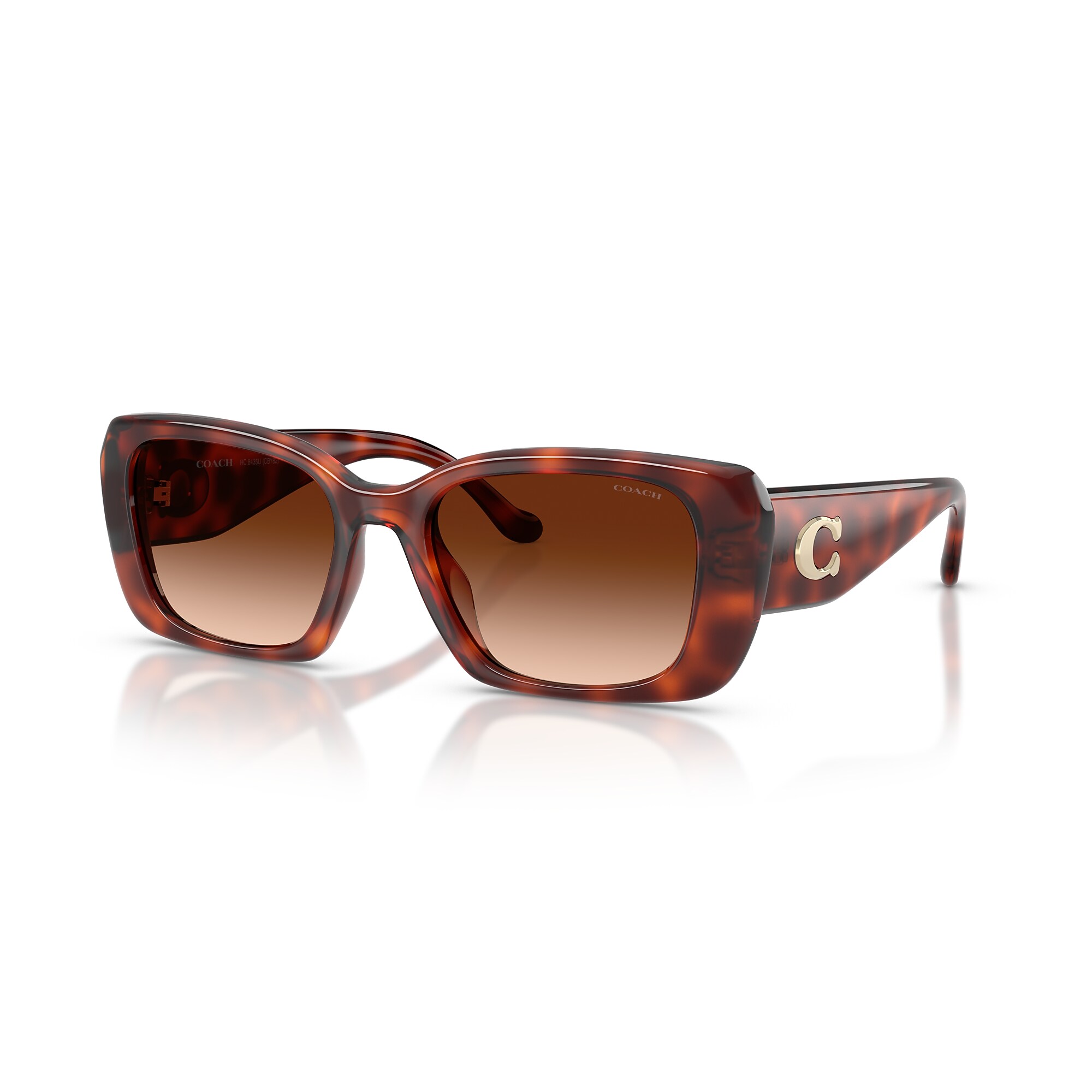 Sunglasses Coach HC8435U CBY82 | Free Shipping | Glasses.com®