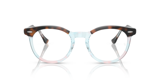 RB5598 Eagle Eye Optics Ray-Ban Dark Havana On Multicolor