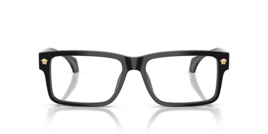 VE3391U Versace Black