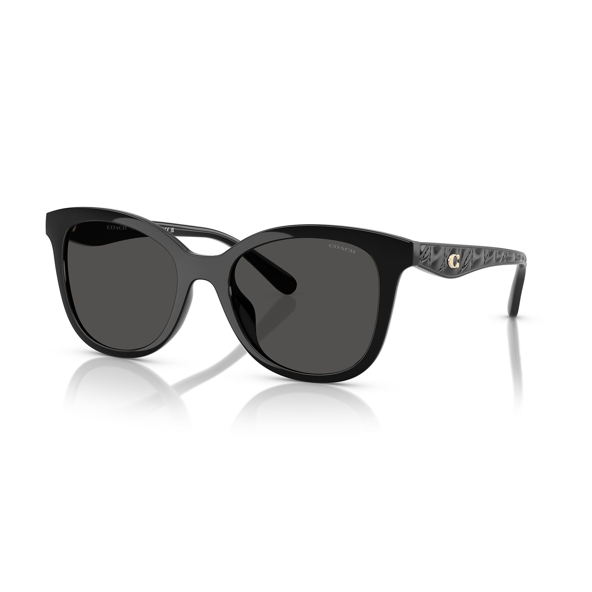 Sunglasses Coach HC8419U CAD25 | Free Shipping | Glasses.com®