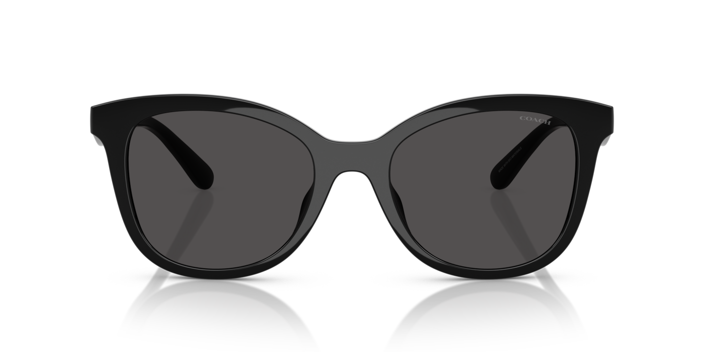 Sunglasses Coach HC8419U CAD25 | Free Shipping | Glasses.com®