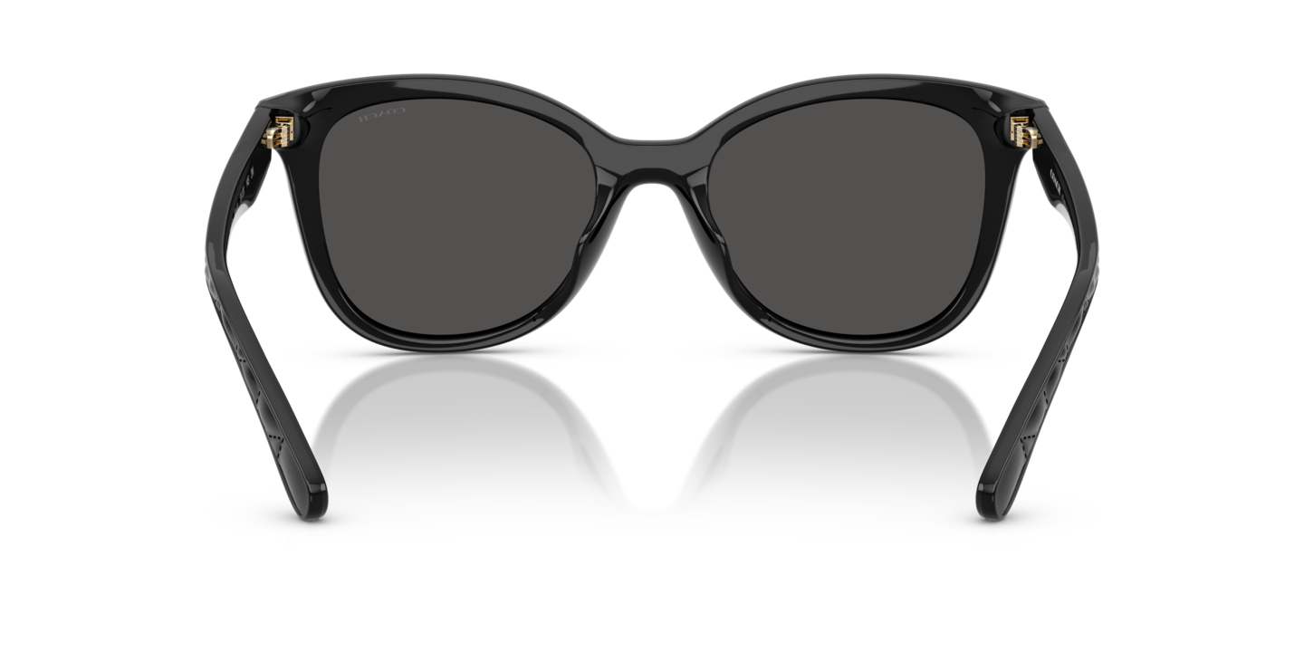 ✋RESERVED for esd25✋Authentic Coach Sunglasses Coach HC8443D CBY84 Sunglasses | LensCrafters main image 4