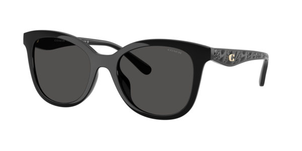 Sunglasses Coach HC8419U CAD25 | Free Shipping | Glasses.com® display picture 2