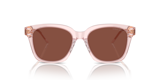 AR8210U Giorgio Armani Transparent Pink
