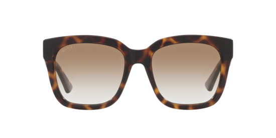 GG1338S Gucci Brown Light
