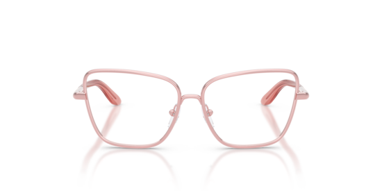 DX1102 Dolce & Gabbana Rose