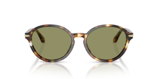 AR8237 Giorgio Armani Havana Gialla