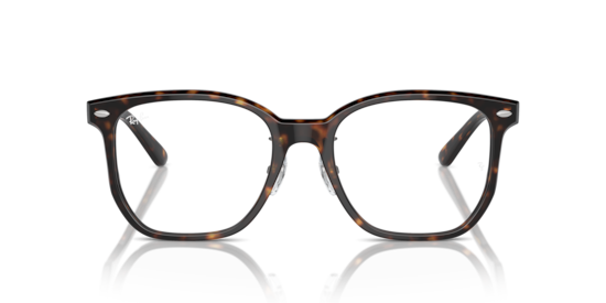 RB5425D Optics Ray-Ban Havana