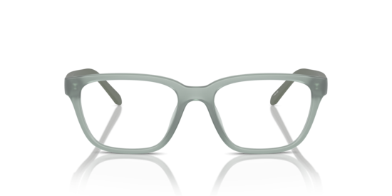AN7250U Pheobe Arnette Frosted Sage