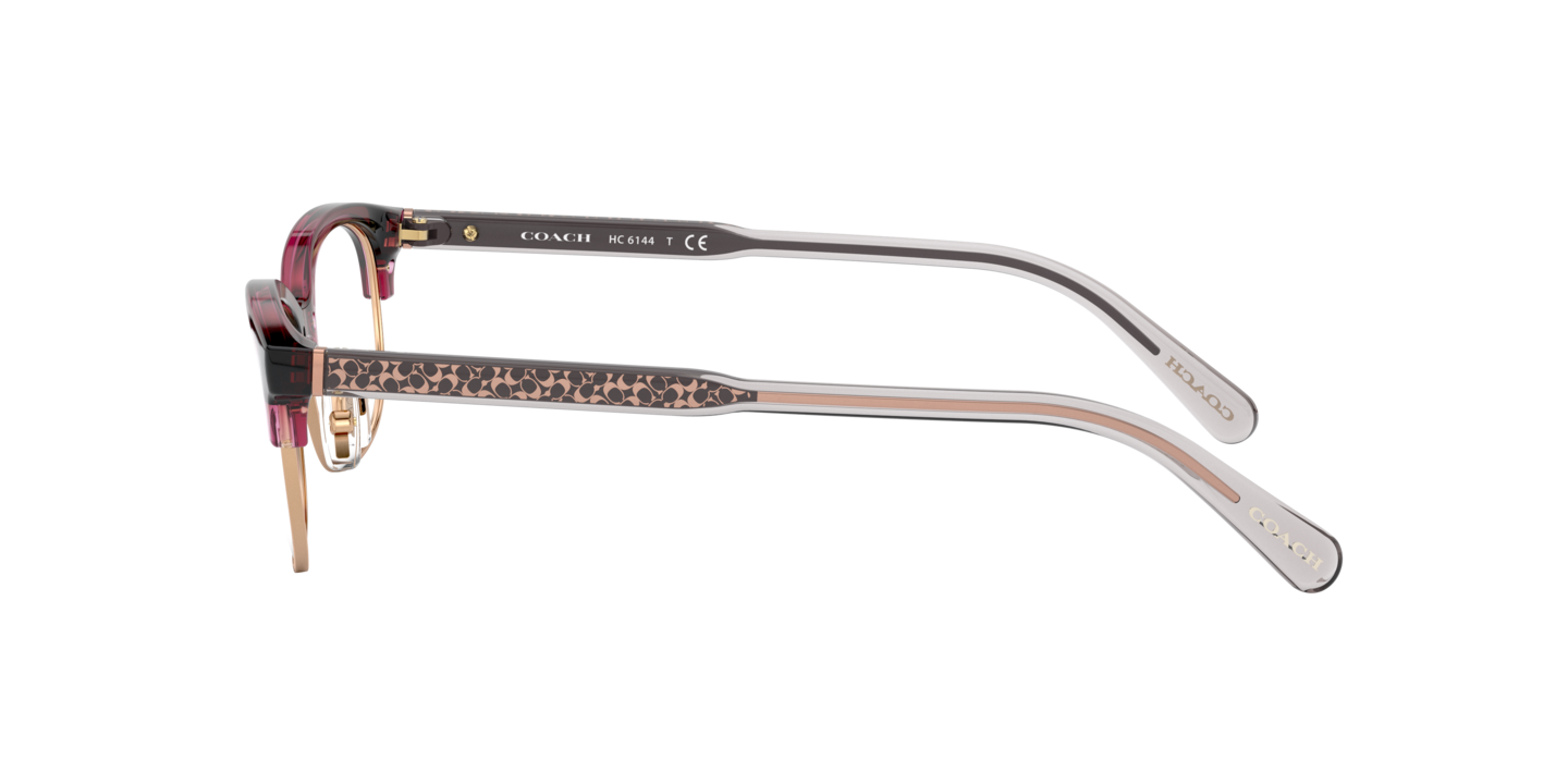 Eyeglasses Coach HC6144 | Free Shipping | Glasses.com® display picture 3