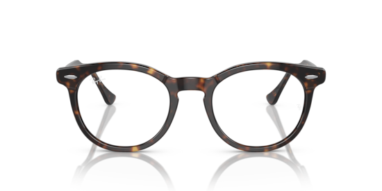 RB5598 Eagle Eye Optics Ray-Ban Havana