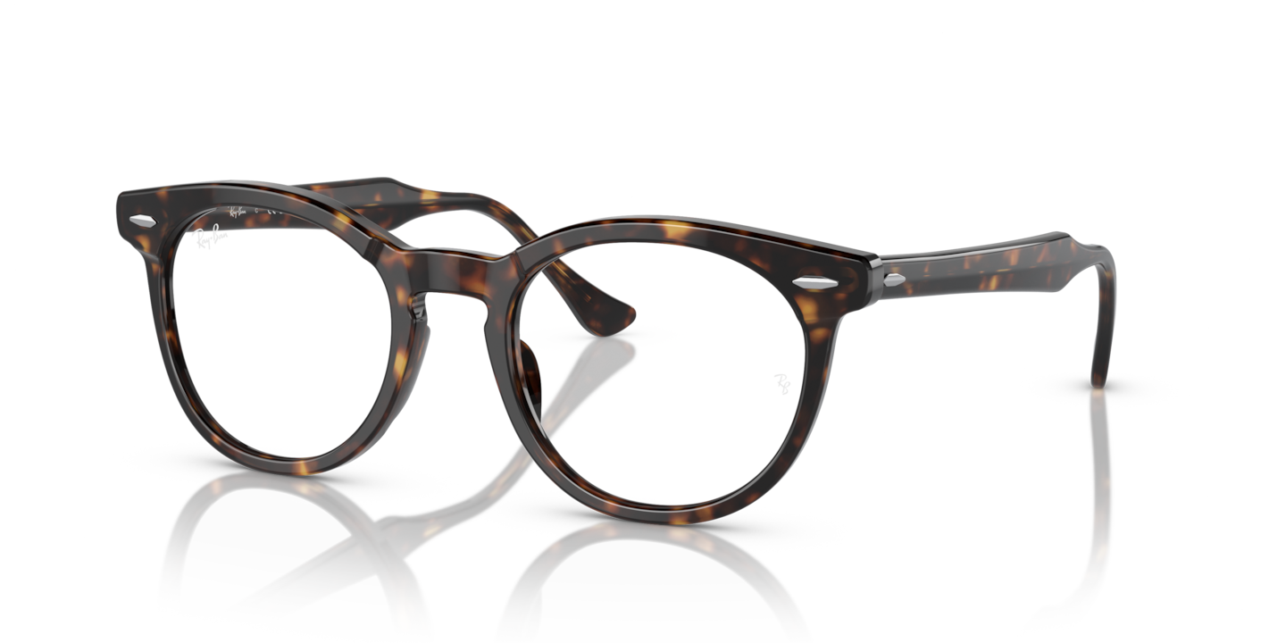 Ray-Ban RB5598 Eagle Eye Optics Havana