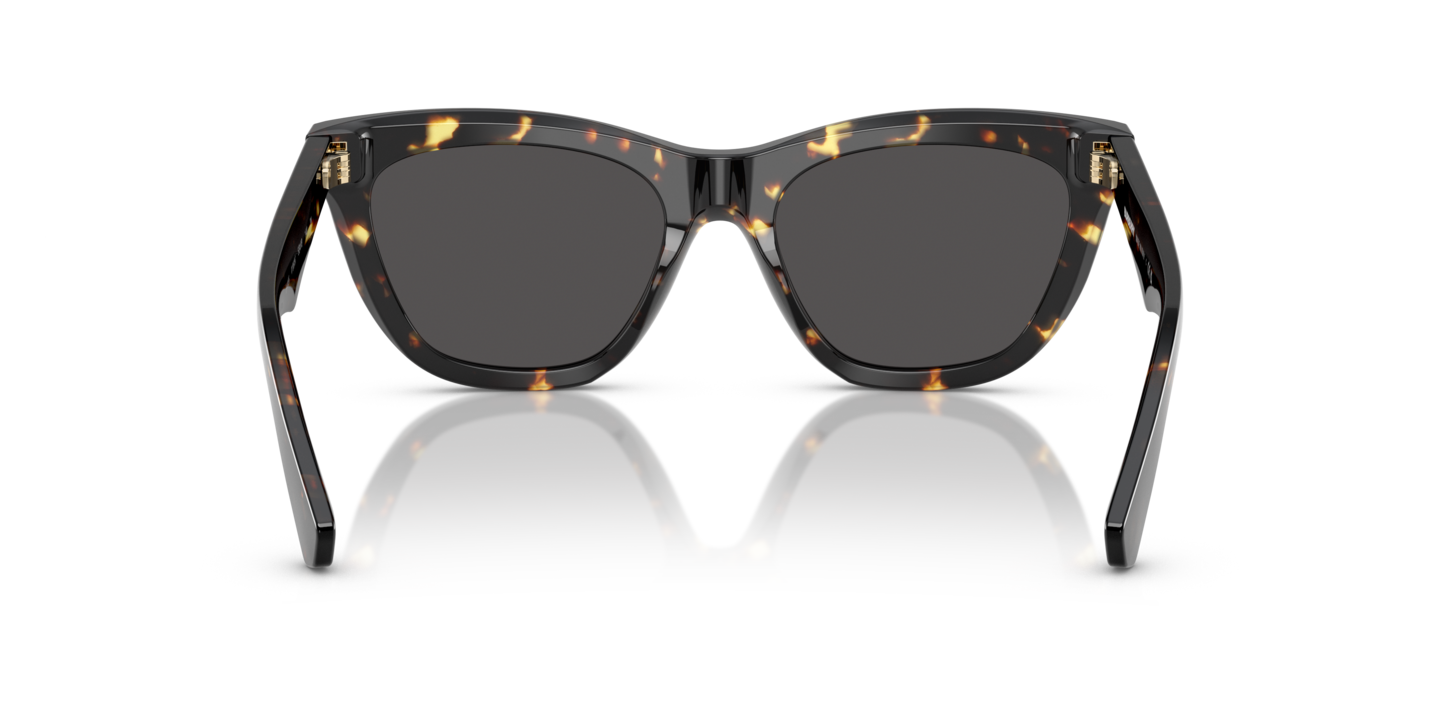 Sunglasses Burberry BE4435 | Free Shipping | Glasses.com®