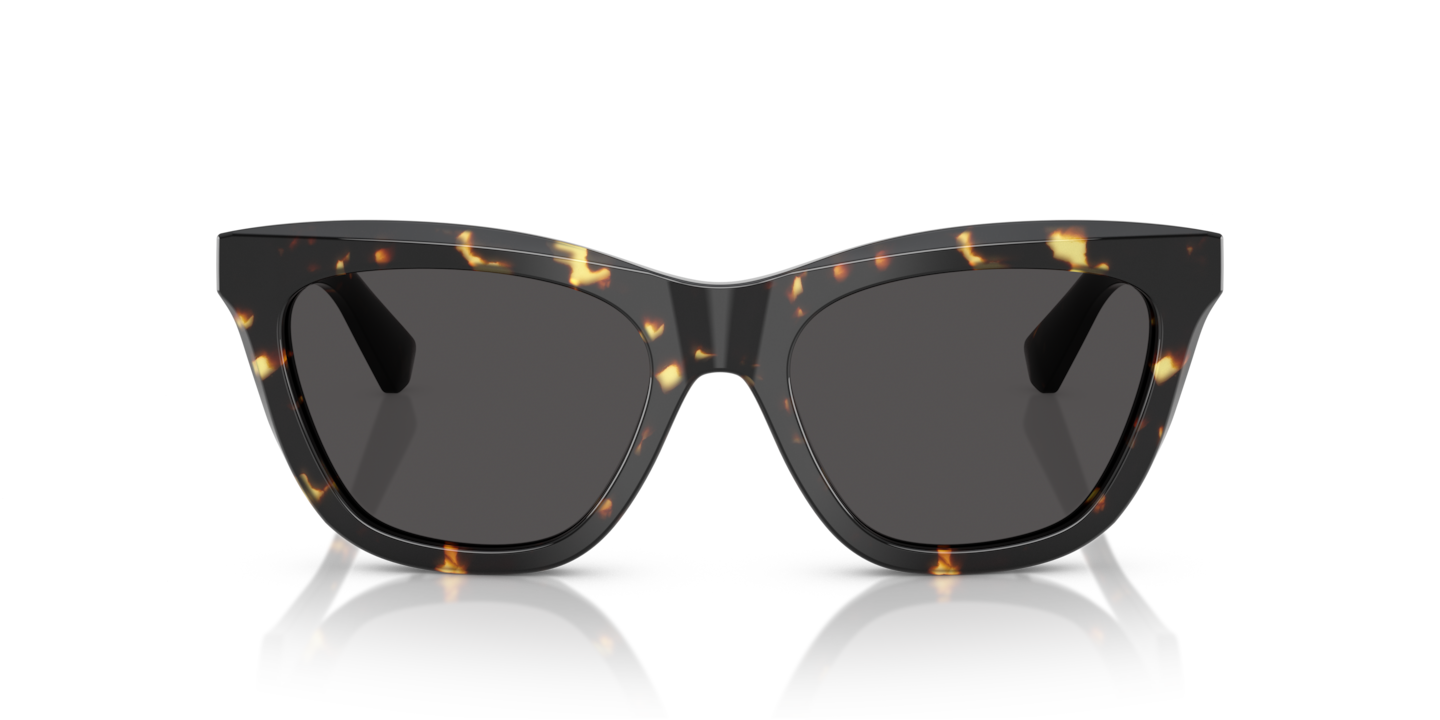 Sunglasses Burberry BE4435 | Free Shipping | Glasses.com®